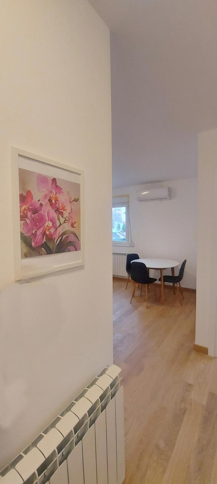 Magenta Zvezdara Belgrado Exterior foto